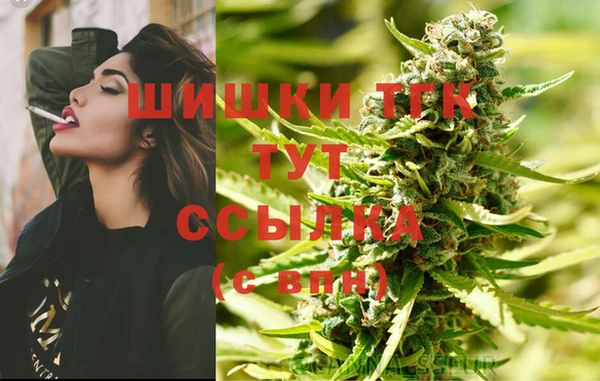дживик Осинники