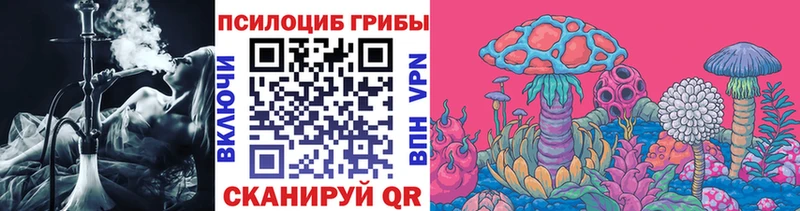 Псилоцибиновые грибы Psilocybe  МЕГА маркетплейс  Полтавская 
